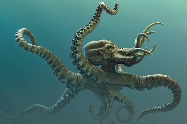Kraken 13 at com