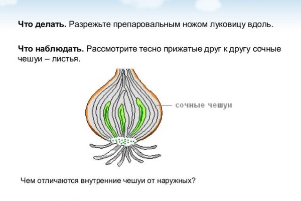 Мега кракен