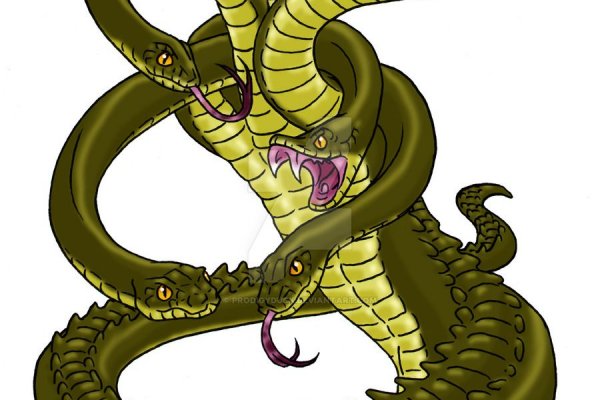 Kraken19at