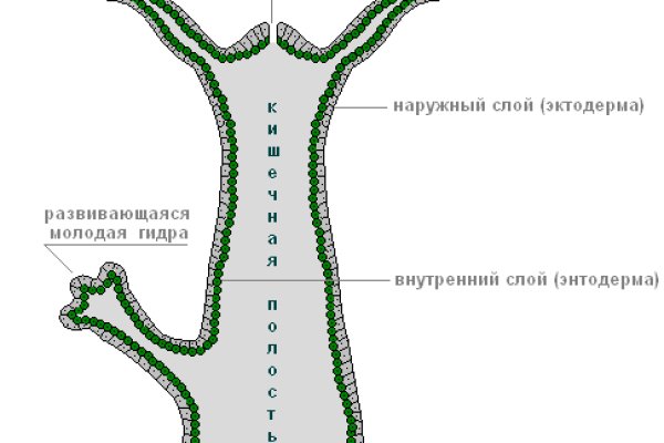 Kraken официальная ссылка