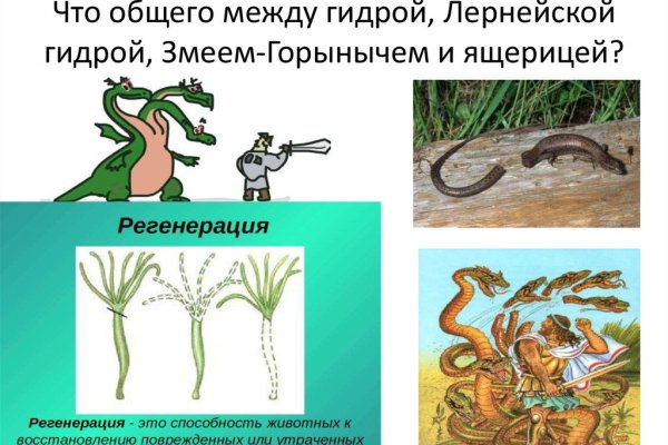 Кракен даркнет вход