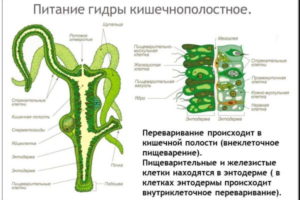Купить наркоту