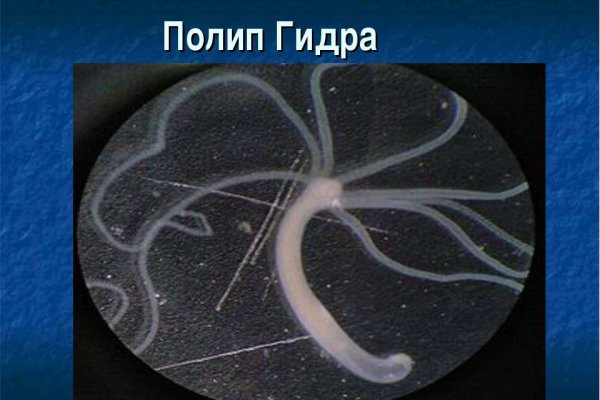 Кракен ссылка официальная в тор