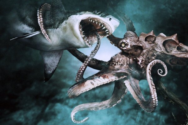 Настоящий сайт kraken