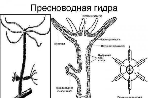 Как восстановить доступ к кракену