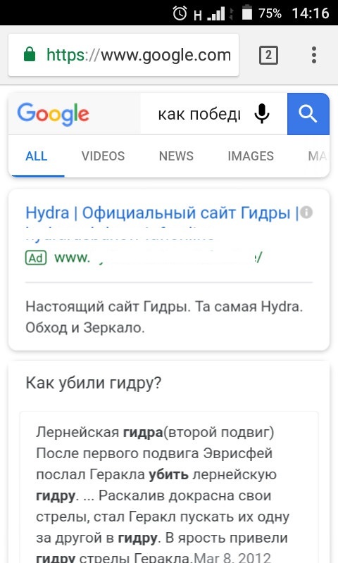 Актуальное зеркало на кракен