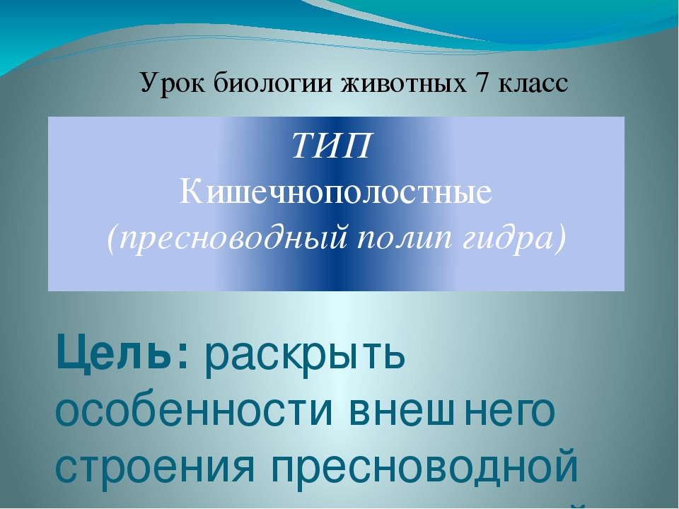 Актуальное зеркало на кракен