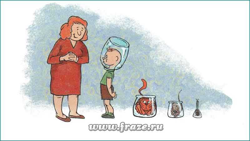 Ссылка кракен не работает