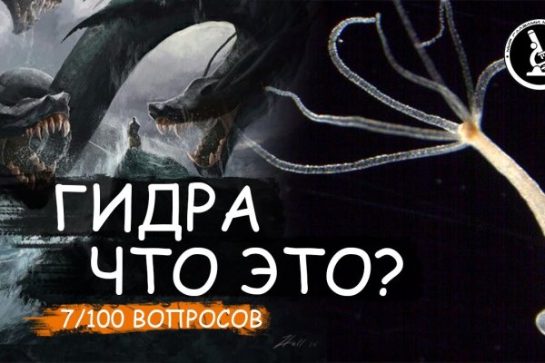 Кракен это что за магазин